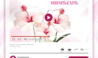 GIANT CREPE-PAPER HIBISCUS TUTORIAL