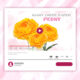 GIANT CREPE-PAPER PEONY TUTORIAL