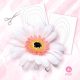 giant gerbera temlate