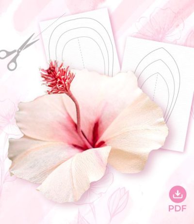 gn6-570x658