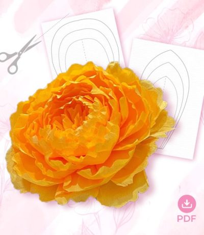 gn7-570x658