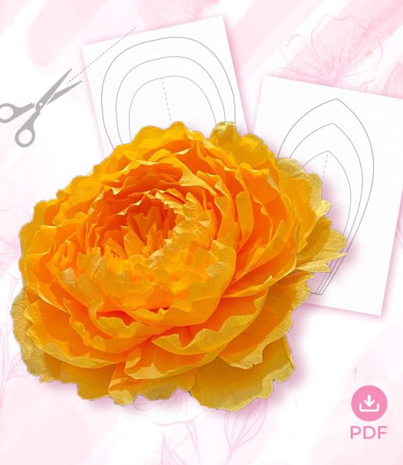 gn7-570x658