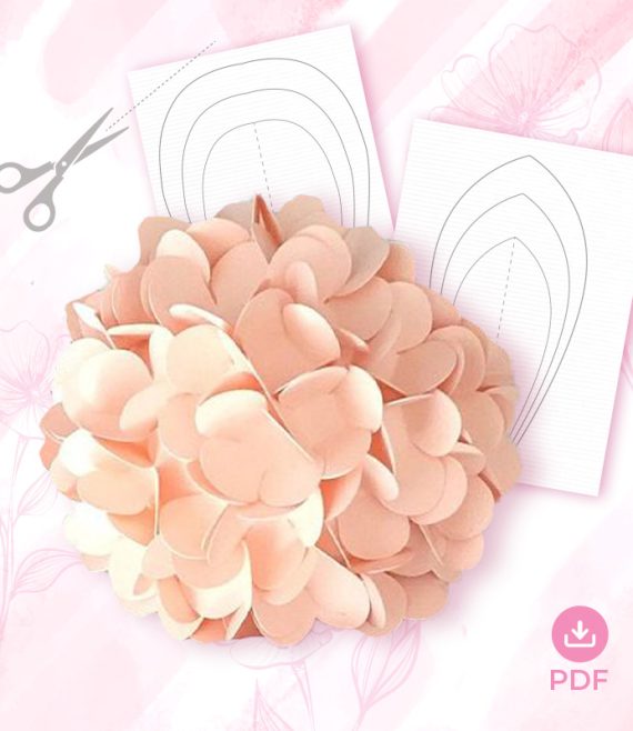hydrangea template