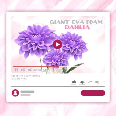 GIANT EVA FOAM DAHLIA TUTORIAL