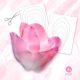 giant Tulip teplate eva foam