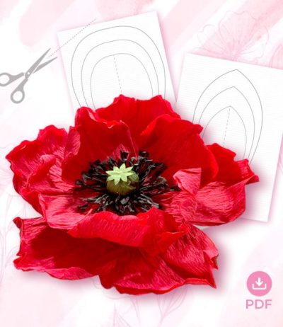 poppy crepe