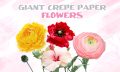 GIANT CREPE PAPER FLOWER COURSE