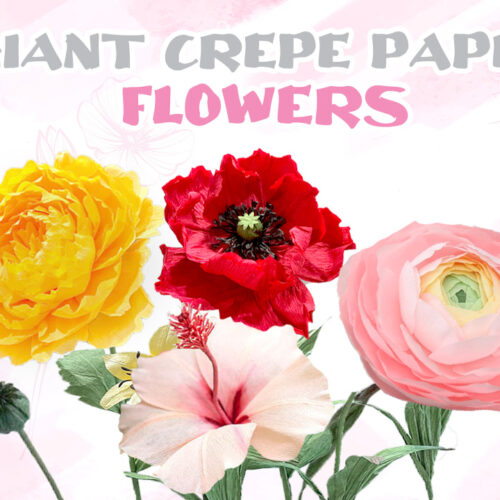GIANT CREPE PAPER FLOWER COURSE