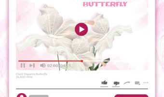 GIANT ORGANZA BUTTERFLY TUTORIAL