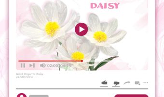 GIANT ORGANZA DAISY TUTORIAL