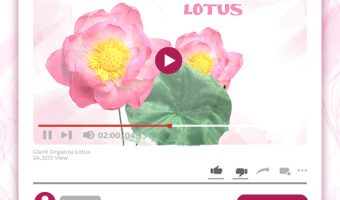 GIANT ORGANZA LOTUS TUTORIAL
