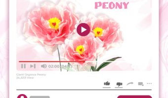 GIANT ORGANZA PEONY TUTORIAL