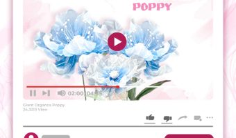 GIANT ORGANZA POPPY TUTORIAL