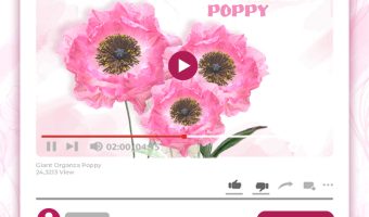 GIANT ORGANZA POPPY TUTORIAL - STYLE 2