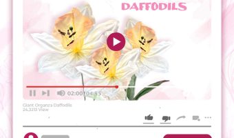 GIANT ORGANZA DAFFODILS TUTORIAL