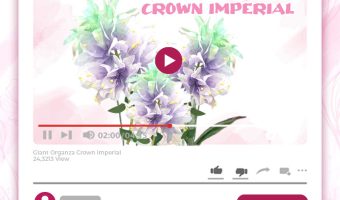 GIANT ORGANZA CROWN IMPERIAL TUTORIAL