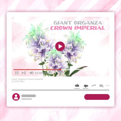 GIANT ORGANZA CROWN IMPERIAL TUTORIAL