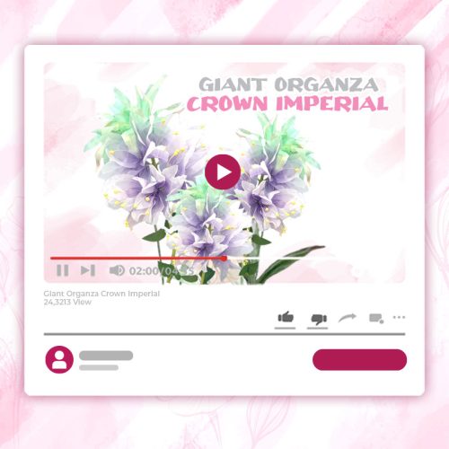 GIANT ORGANZA CROWN IMPERIAL TUTORIAL