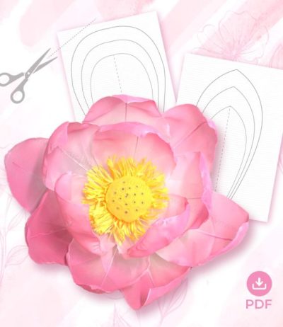 v3-570x658