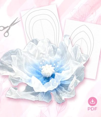 v5-570x658