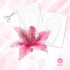 LILY TEMPLATE 2 - ORGANZA