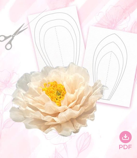 PEONY TEMPLATE 2 - ORGANZA