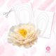 PEONY TEMPLATE 2 - ORGANZA