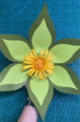 image_2025-05-19_130915545-196x3