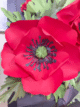image_2025-05-23_091346525-225x300