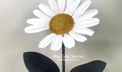 G-Dragon PMO Daisy, G-Daisy