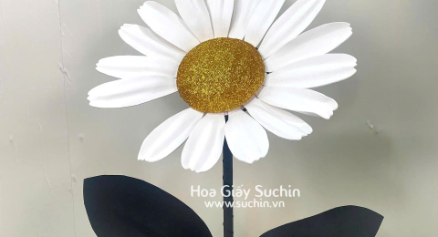 G-Dragon PMO Daisy, G-Daisy