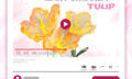 giant organza tulip