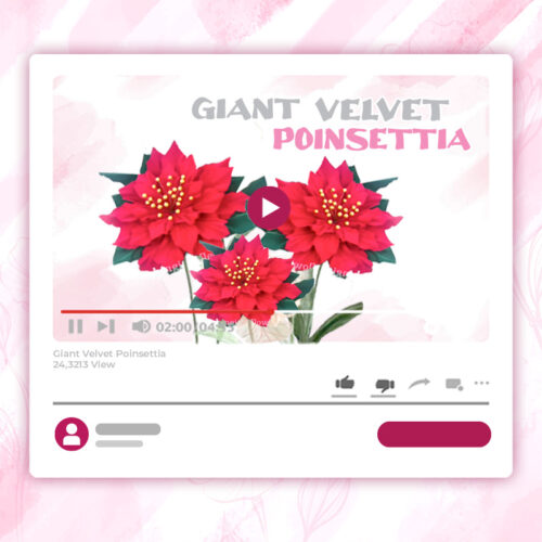 giant velvet poinsettia