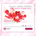Giant crepe paper royal poinciana