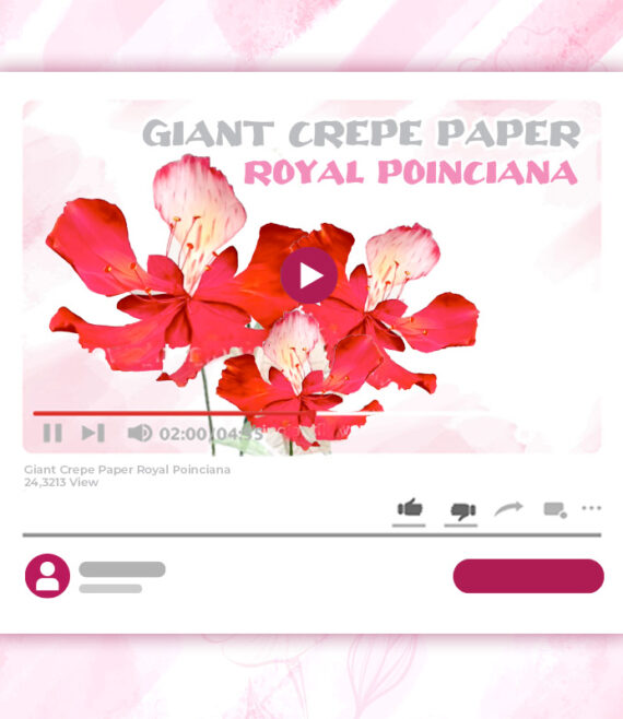Giant crepe paper royal poinciana