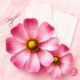 Giant Cosmos flower made with crepe paper - printable template and step-by-step guide